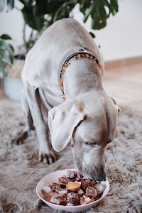 Babarf place picture