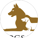 Dogs Paradise profile picture